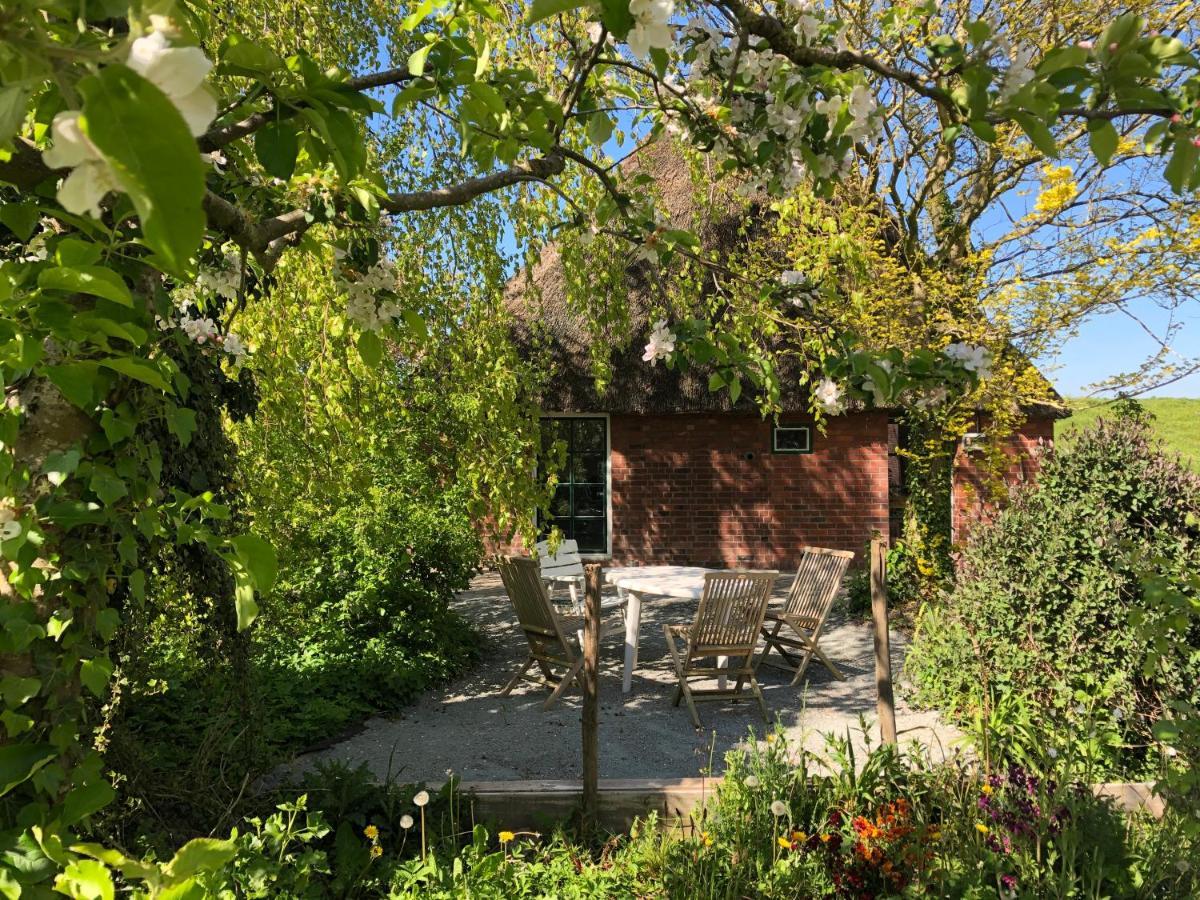 Villa Haus Käthe am Deich Balje Exterior foto